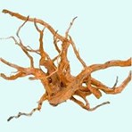 SPIDER WOOD LARGE