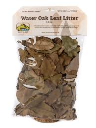 Thumbnail Dart Frog Bioactive Kit - Image 10