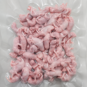 Frozen Mouse Pinky 1-3 g